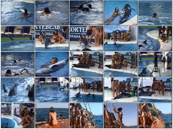 Dreaming of dolphins - family nudism purenudism video [DVD rip] [720 x 480 | 01:10:00 | 4.4 GB] [ヌーディズムについて学ぶ]